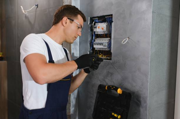 Best Generator Installation Services  in Randolph, NE